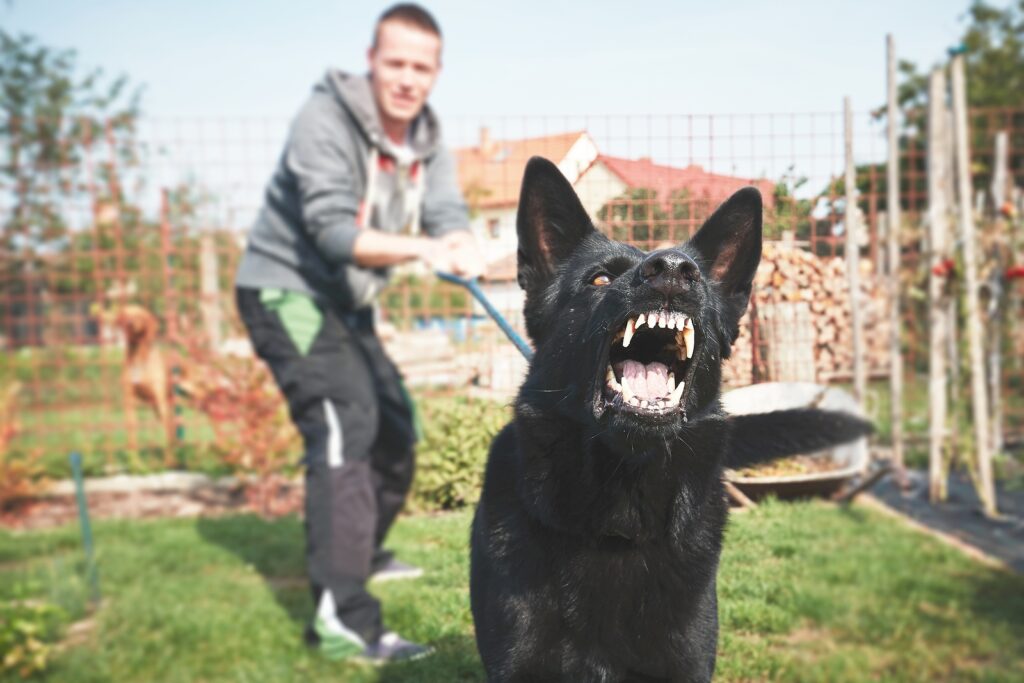 Young man with angry black dog on the leash